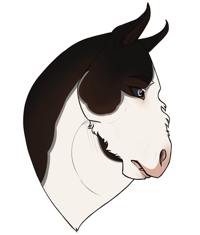 horsie2.png