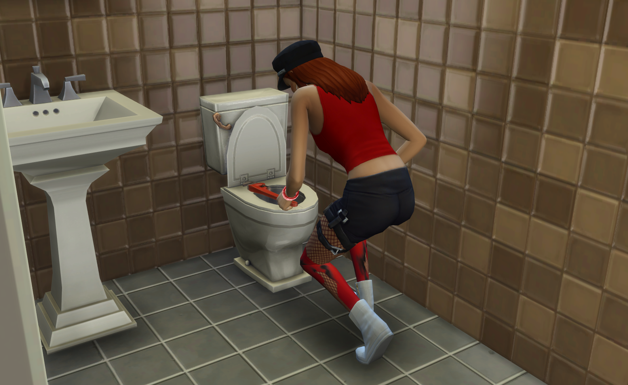 sabotaging-a-toilet.png