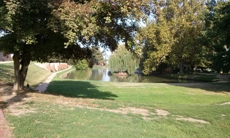 Slika