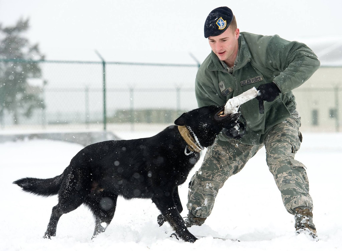 MWD8