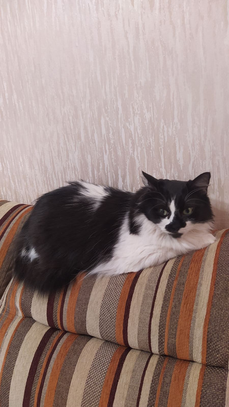 0CDC5065-9006-4592-A310-5FAEC47B7E33