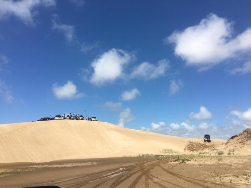 CFB06207-1136-456D-BA2A-77F143258B7A