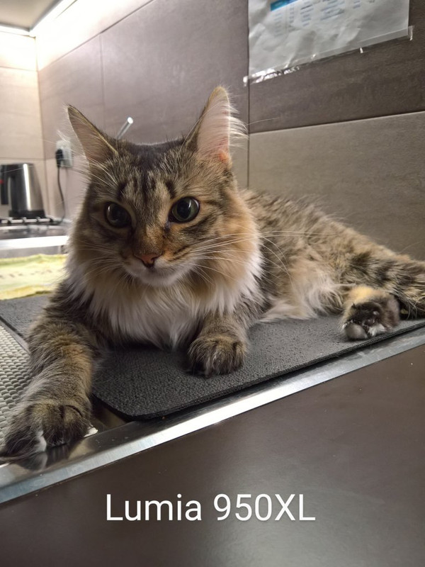 WP_20200904_00_35_58_Pro~2