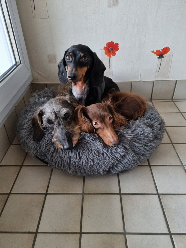 [Image: 20211129-123408.jpg]