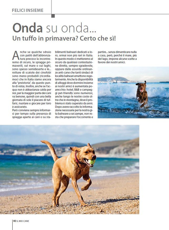 Il M C Giu 2023 (11)