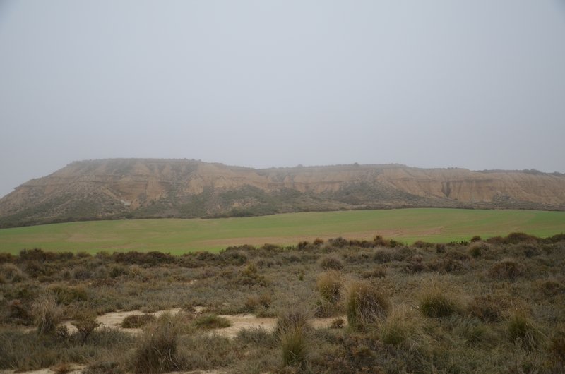 Navarra y sus pueblos-2015 - Blogs de España - Las Bárdenas Reales-15-11-2015 (46)