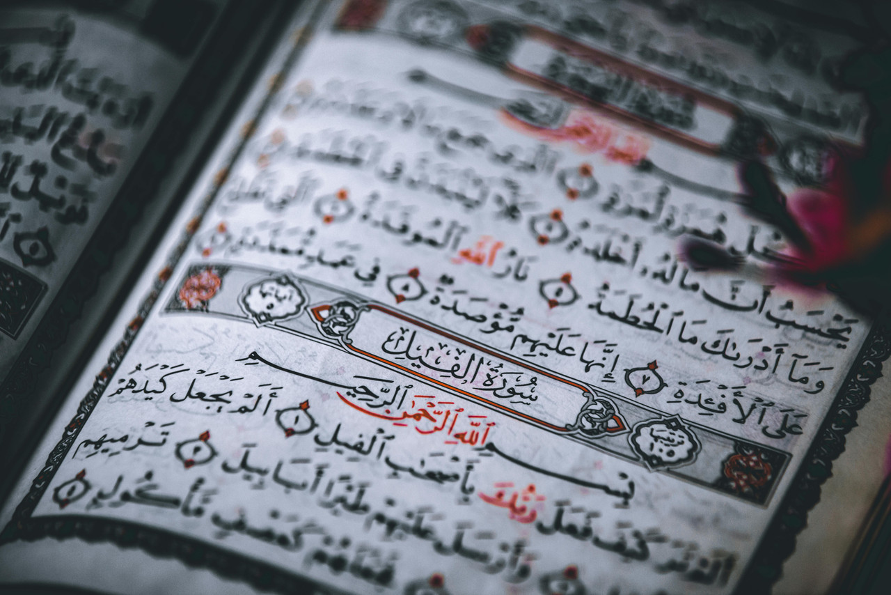 Patience-trained Quran Teacher