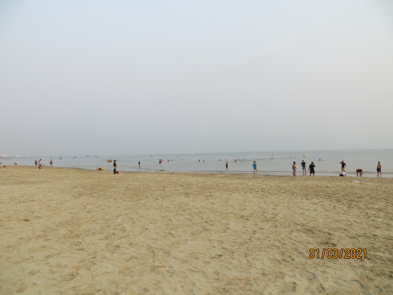 [Image: IMG-8276-resize.jpg]