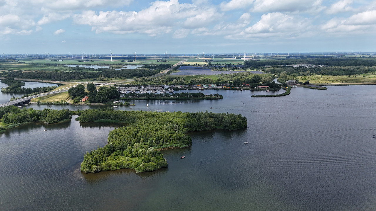 Трое в Амстердаме, не считая собаки. Переезд в Нидерланды.