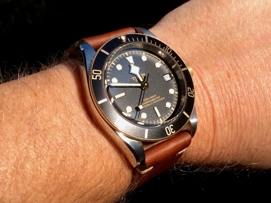 ***** La Tudor du jour - Vol 2 ***** - Page 8 2_E42_B02_B-8_E67-42_A9-931_A-48_E8_AF3405_E2