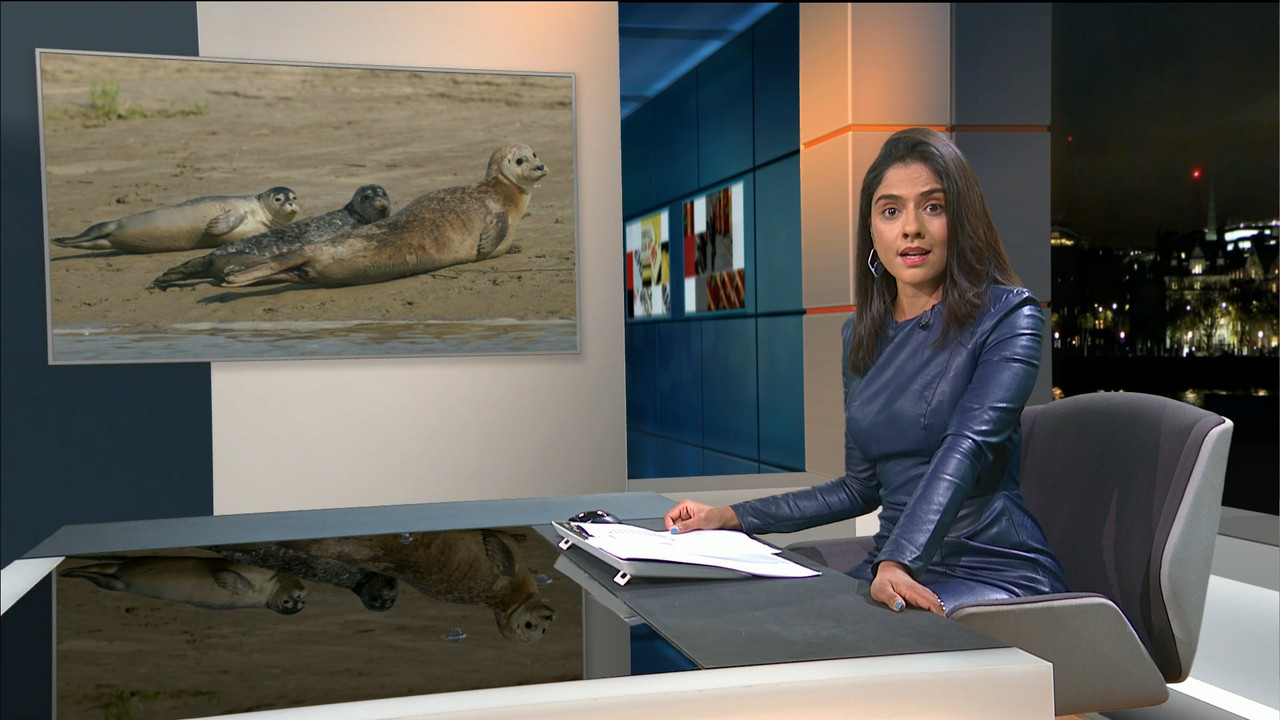 ITV News London_20210906_22302245.ts_snapshot_09.02.591