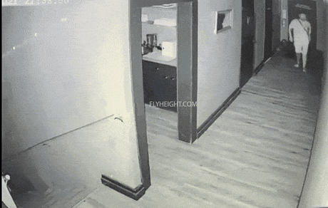 668.gif