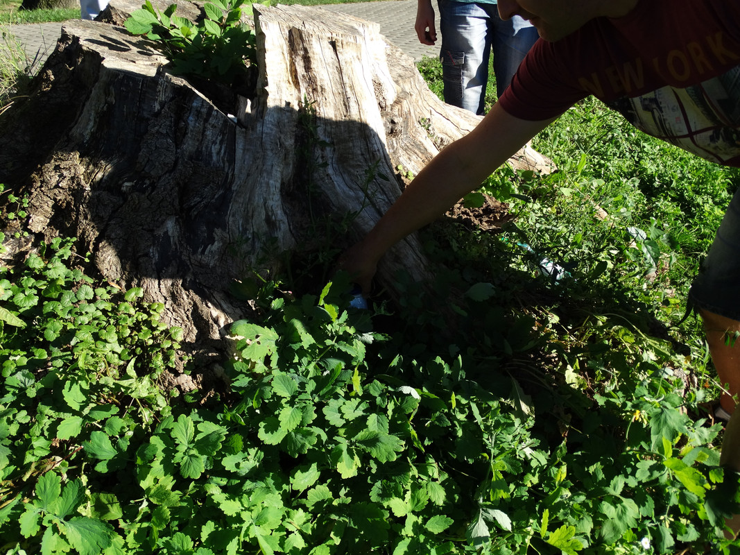 03.12 - DSC05606 (Czesio1)