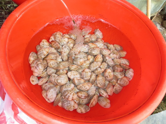 [Image: IMG-6374.jpg]