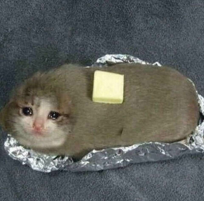 1754560352931534.png