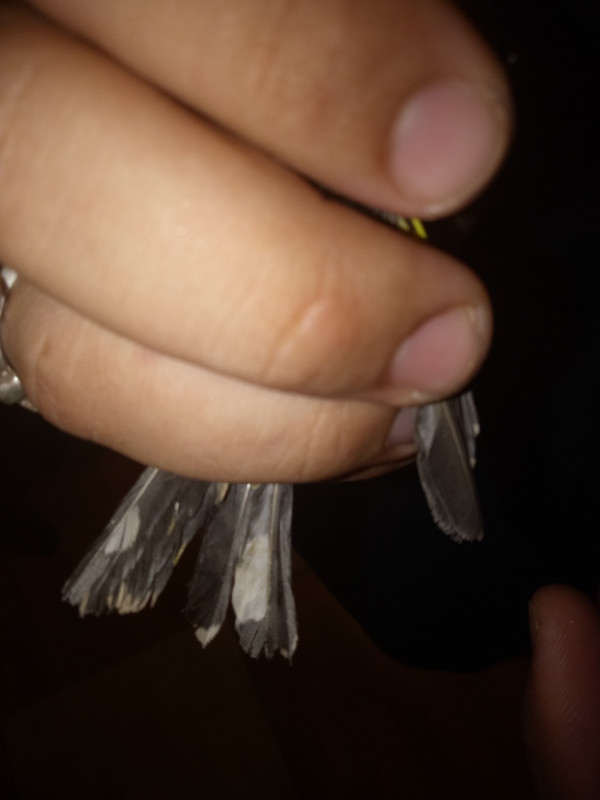 IMG20180915175648