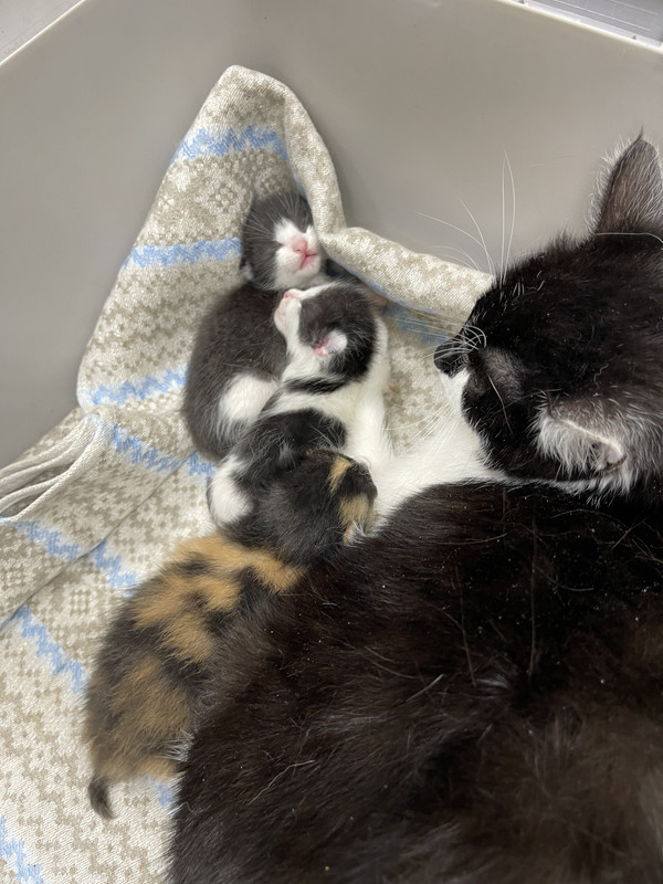 BE897DEA-5882-4CA3-B40B-A9F65B27B2B4