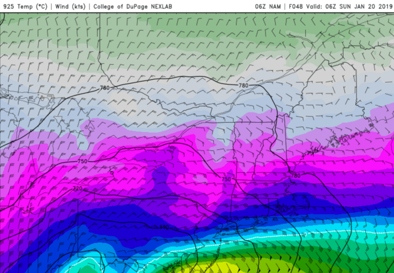 January 19th-20th: 1st Call Snow Map - Page 4 Nam-925