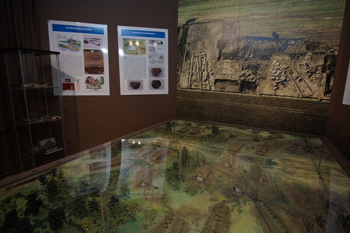 08.03 - DSC02042 (zbychowiec)