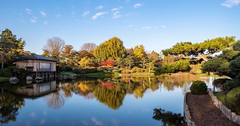 261673173-10159669128265699-4173410371066427239-n