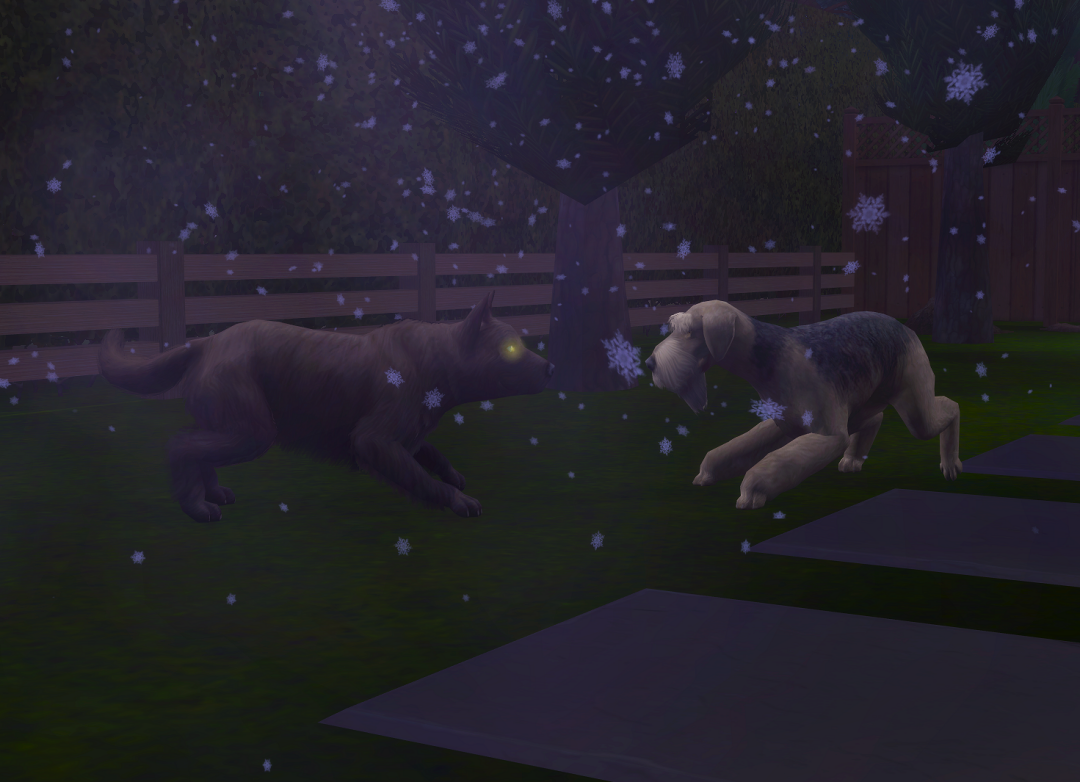 ksnip-20250620-200321