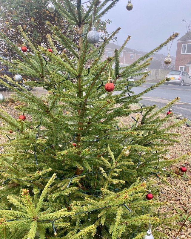 B8FF1F0F-4687-483A-951B-1616FA7E0E7A