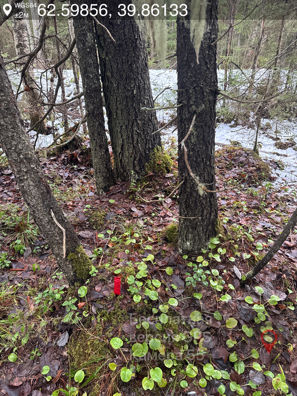 786724107 003492public