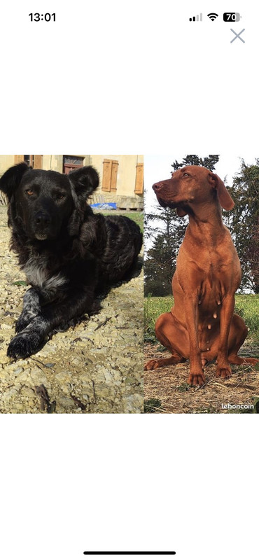 92E48ABE-40A0-407C-AAC9-38590B2A5EB6