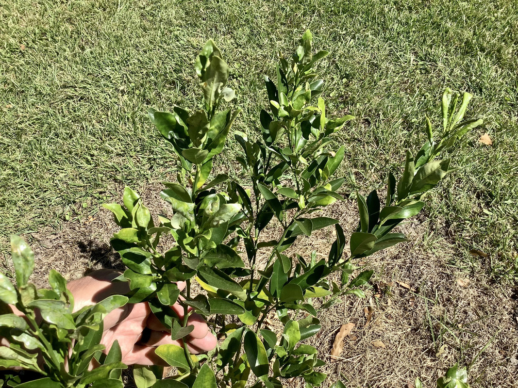 1E757DB3-8005-497A-A539-D3AD9F1E4F0E