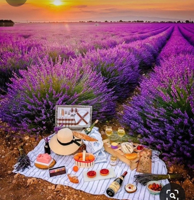 Screenshot_20240425_214143_Pinterest