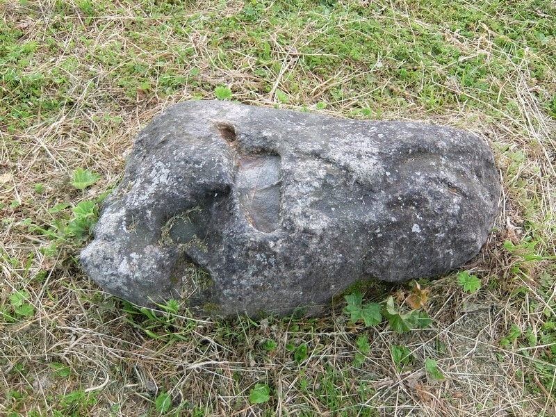 DSCF9276