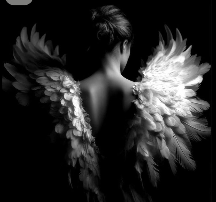 Screenshot_20251001_212320_Pinterest