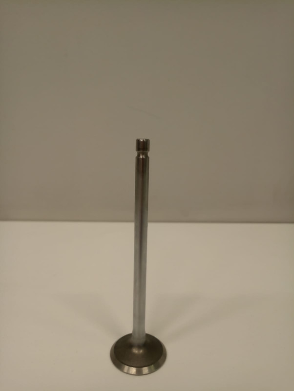 WhatsApp Image 2022-02-28 at 14.25.38 (3)