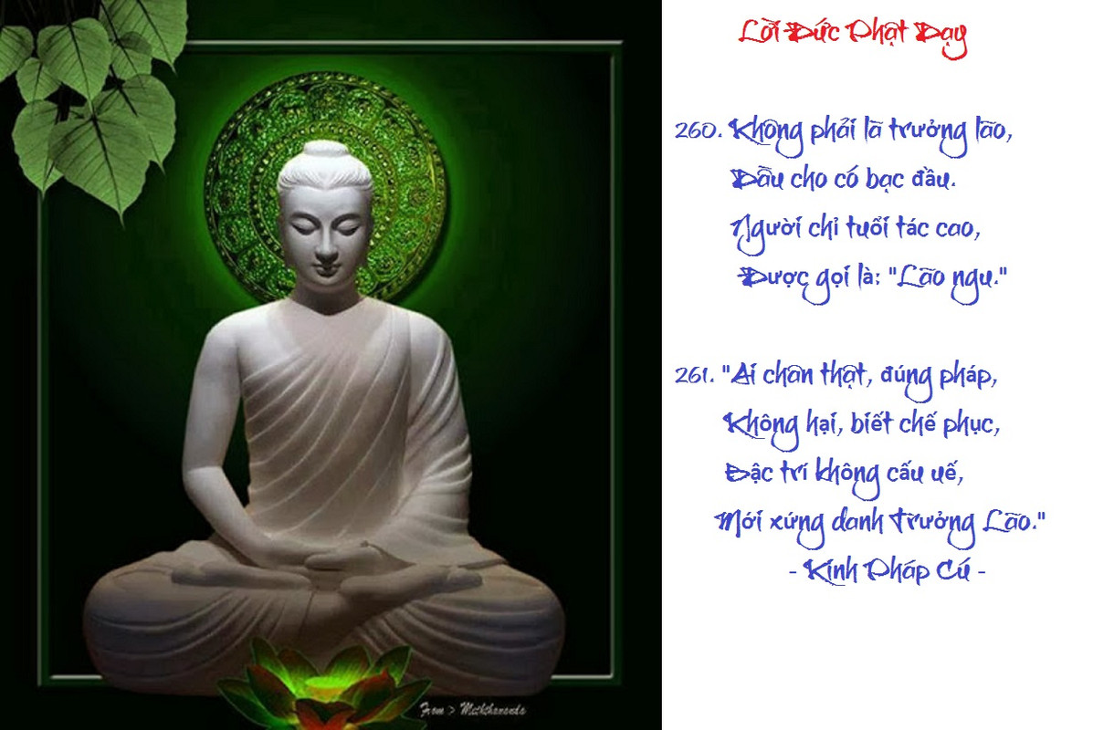 [Image: VERSE260261.jpg]