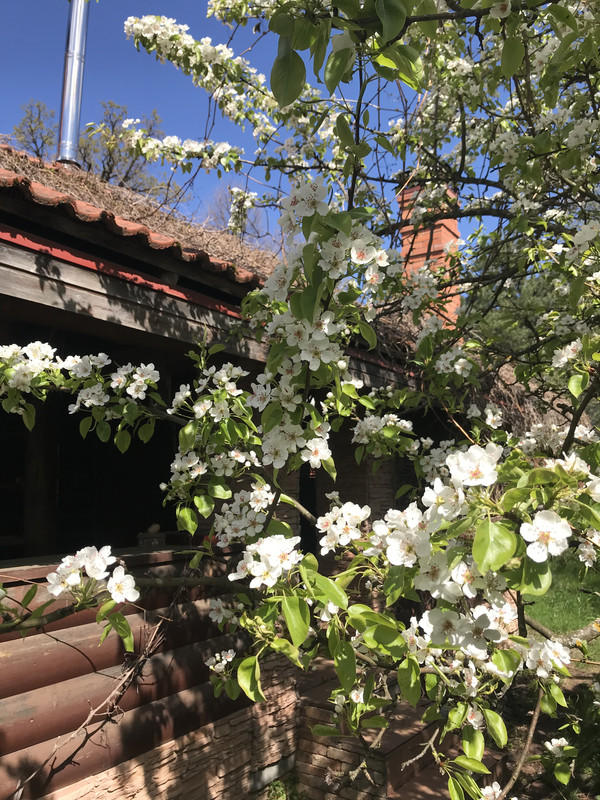 0AAF4086-01F8-4B9D-8BC7-B9D73C1DD385