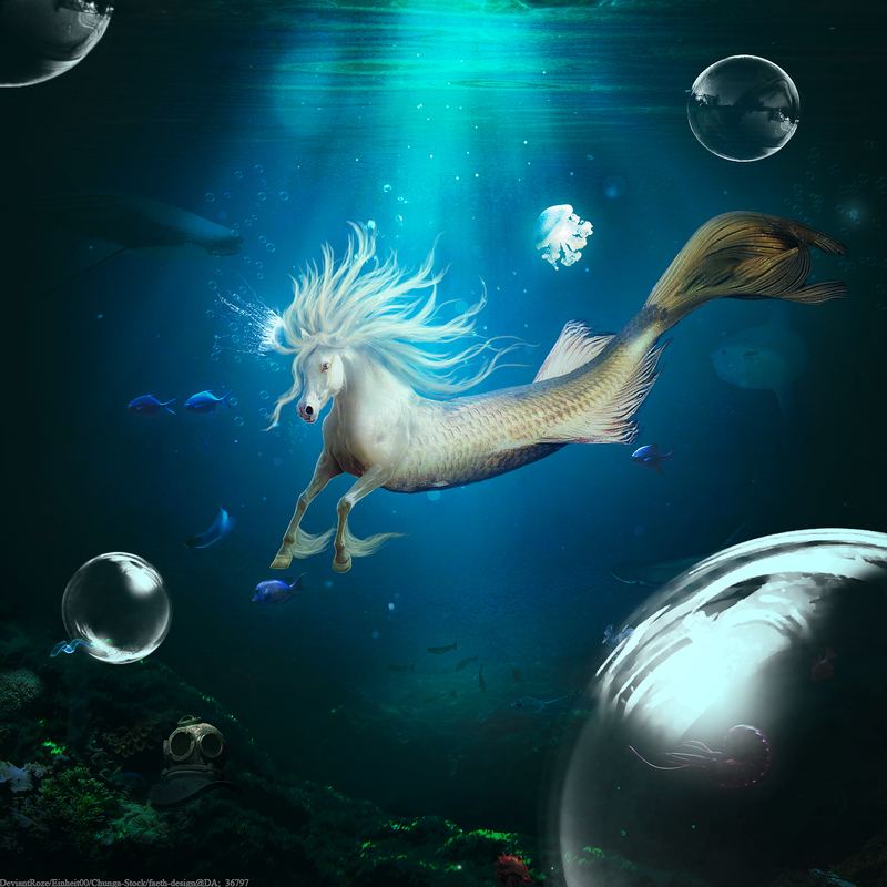 koi-hippocampus1.png