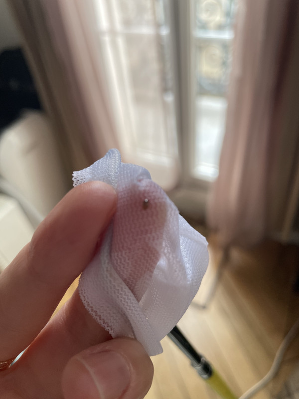 9A2EFDC9-8BF8-4D68-B7E2-4E5781EDB2C0