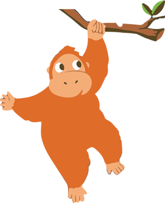 Orangutan