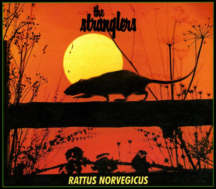 The Stranglers - Rattus Norvegicus
