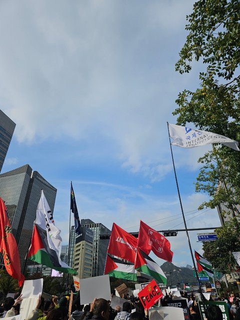 20231022-152223.jpg