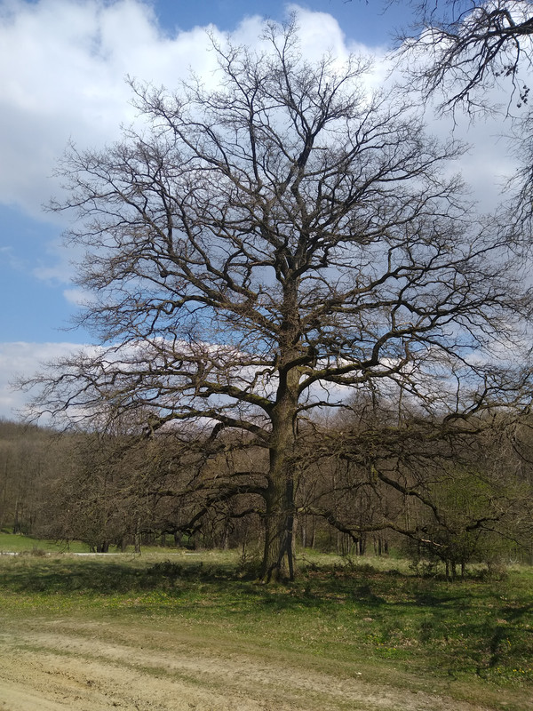 IMG_20210425_143043275