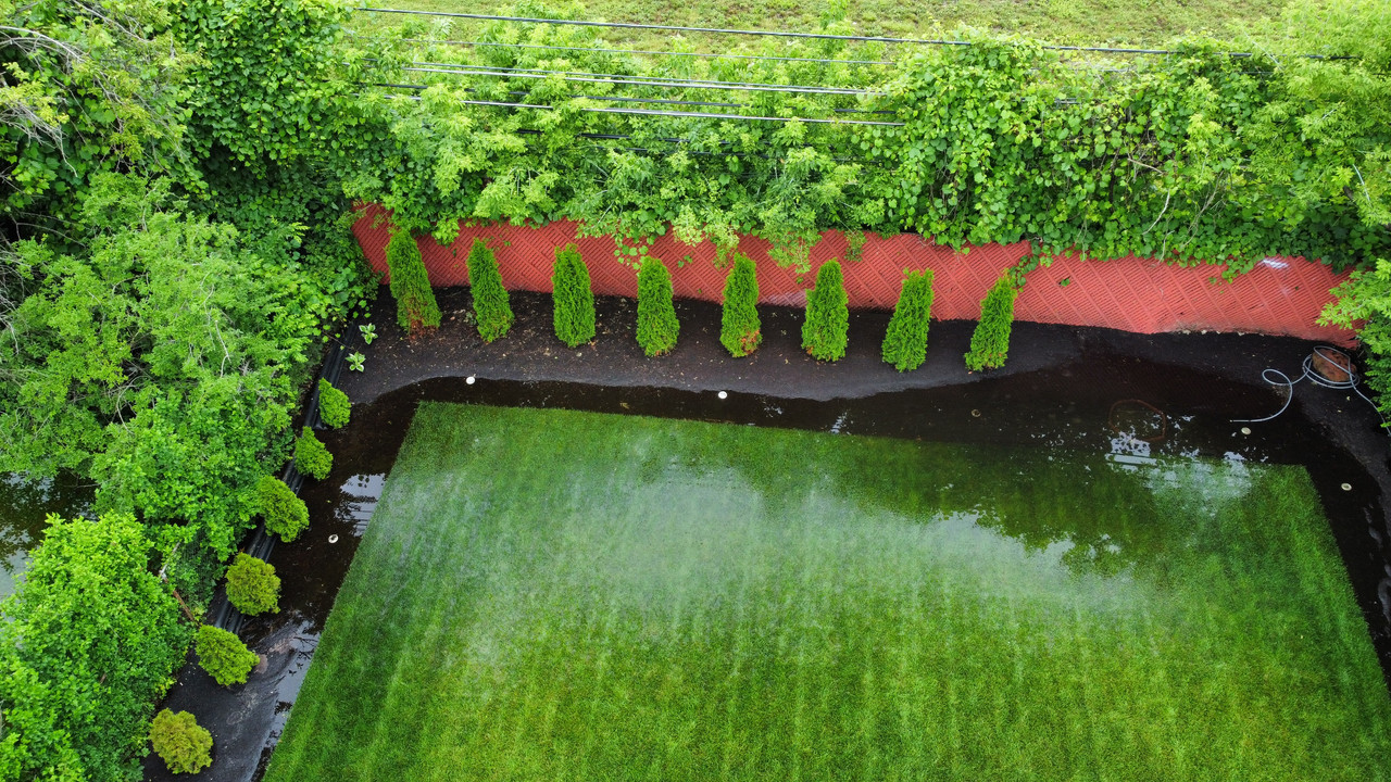 Flooding from the rain - The Lawn Forum