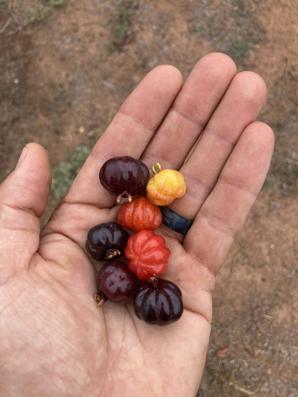 4042C650-F072-4A37-8307-9B6496E7E6FA