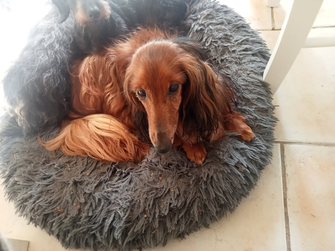 [Image: IMG-20250823-140205.jpg]