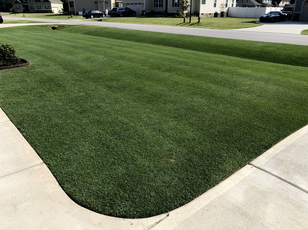 CF6F62BF-3187-42F6-A920-821657337BAF