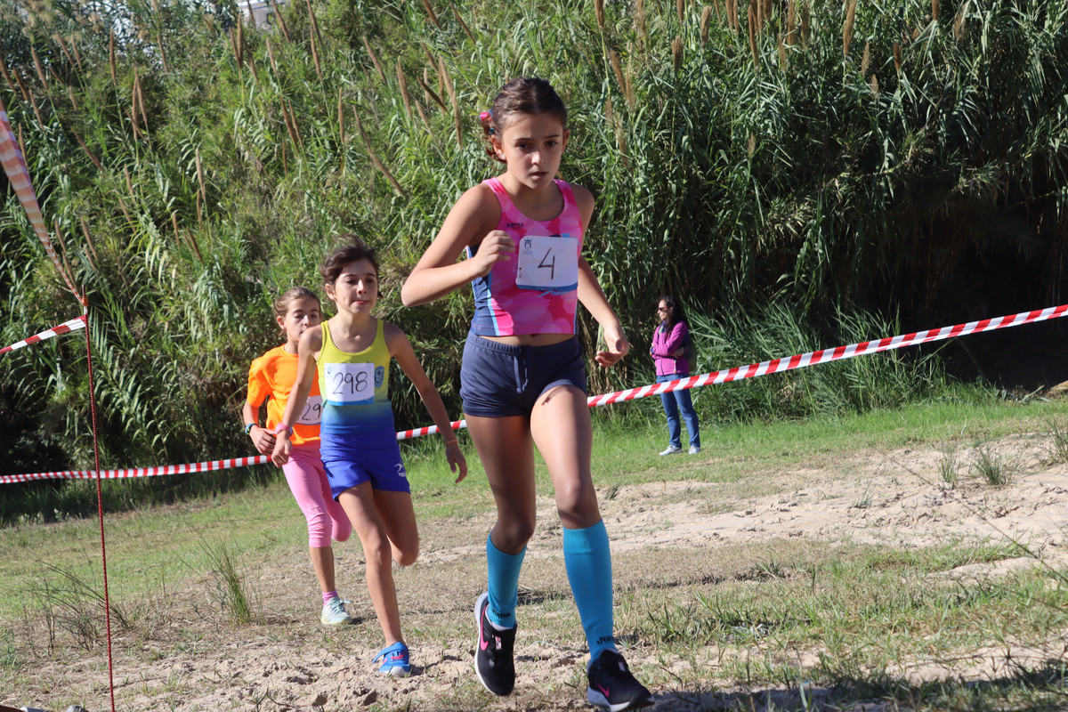 IMG-0515