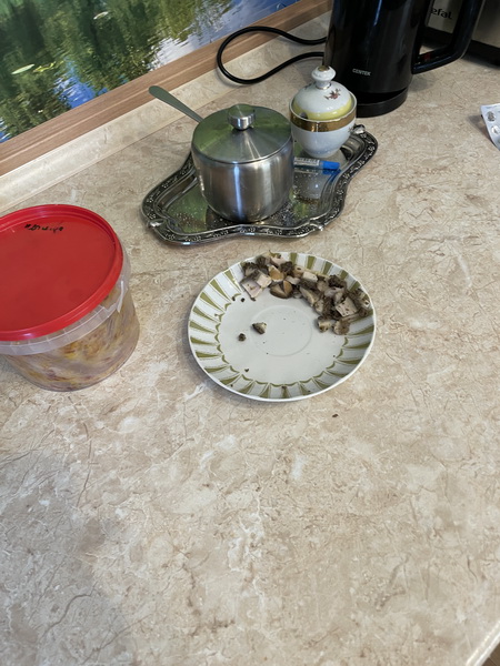 https://i.postimg.cc/7Lxn543w/IMG-8778.jpg