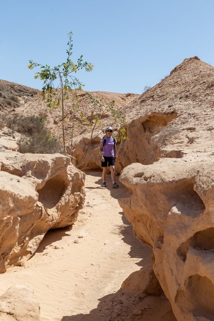 BARRANCO DE LOS ENCANTADOS Y MOLINOS DE VILLAVERDE - Fuerteventura (4)