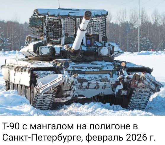 photo 2026 03 23 04 05 16