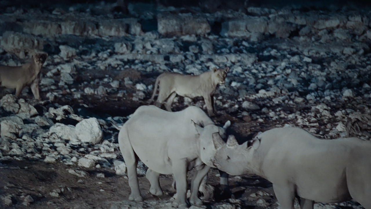 Notte.Sul.Pianeta.Terra.S01E01.Pianure.Al.Chiaro.Di.Luna.iTALiAN